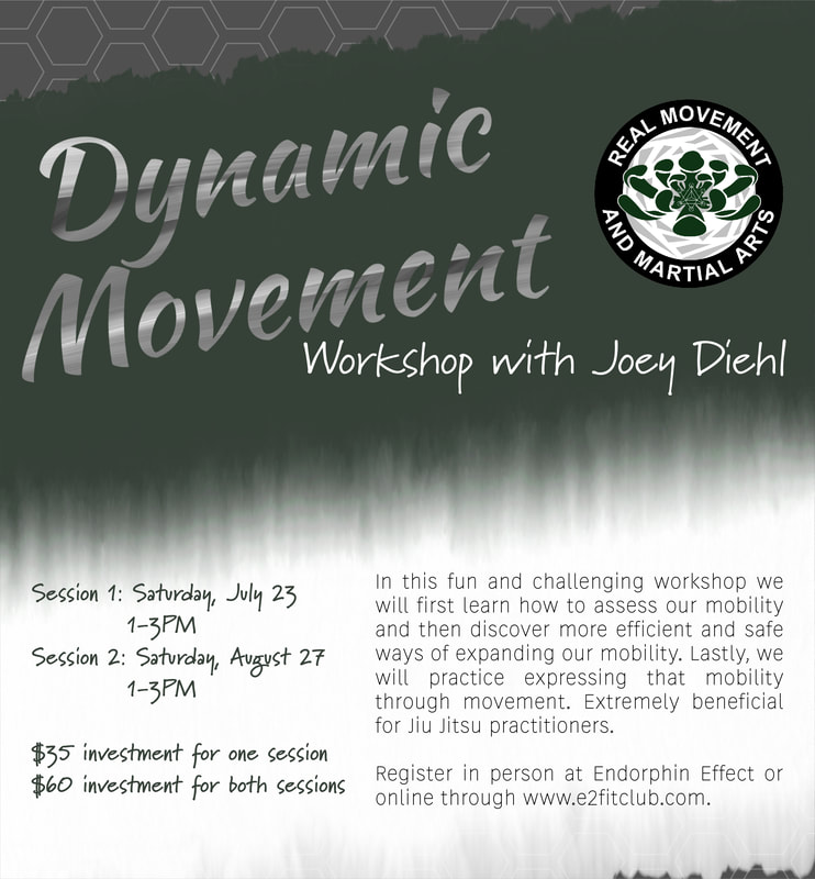 Dynamic Movement Workshop